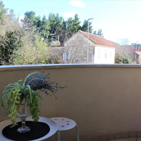 Apartment City Center Miro